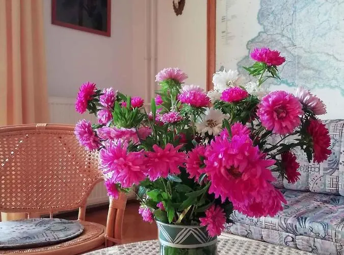 6 Lägenhet Zalakaros